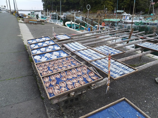 DSCF0160.jpg